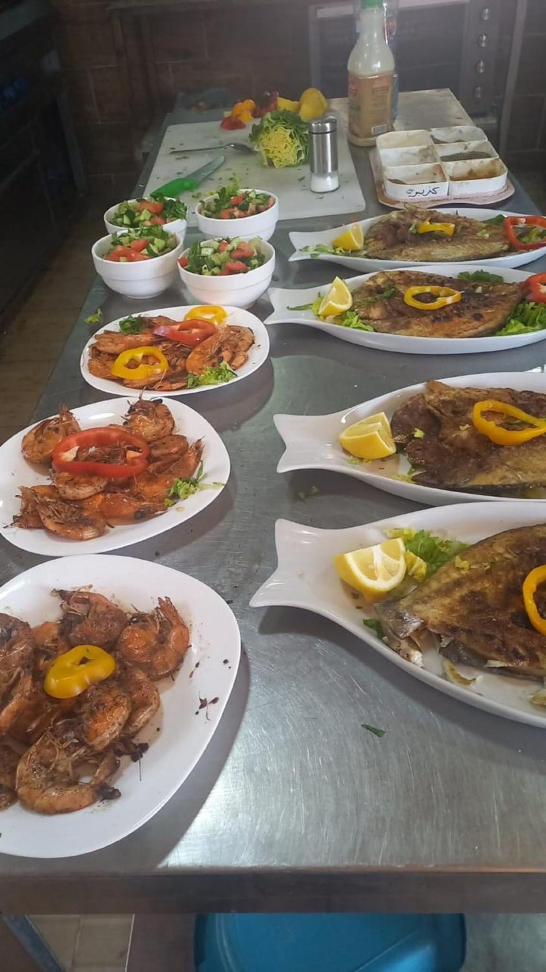 Bedouins Inn Village 아카바 외부 사진